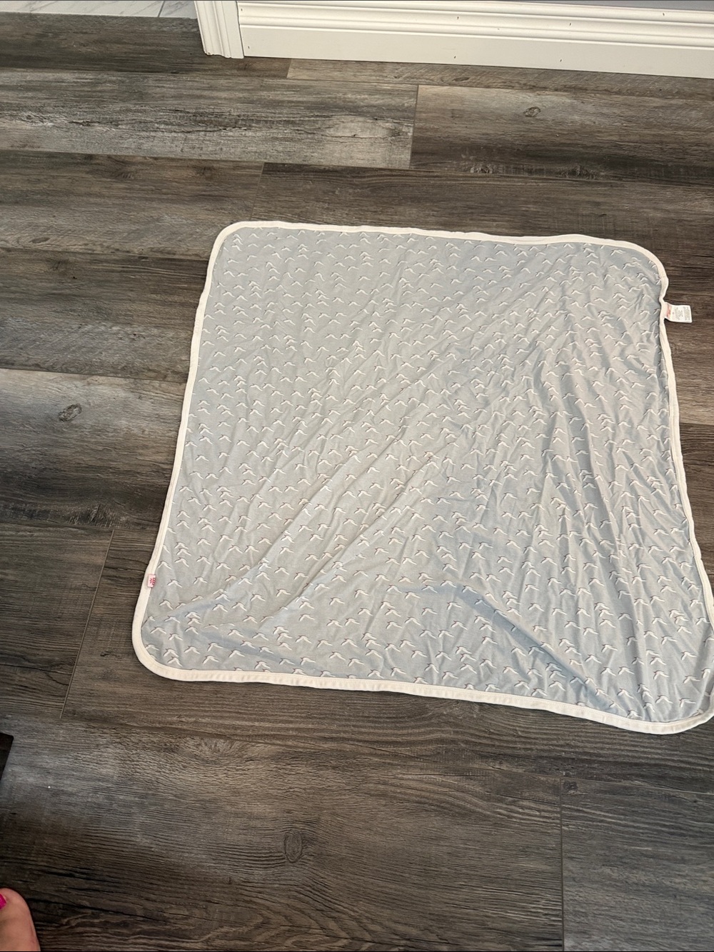 Soft Light Gray Baby Security Blanket with White Trim